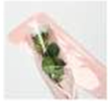 Пакет под одну розу 12*3*56см, 50шт/уп, розовый