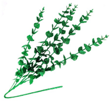 Ветка 85см. 5 стеблей, глиттер зеленый