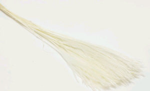 Сухоцвет Пушистая пампасная трава длина 70см  белый