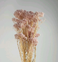 Сухоцвет Рисовый цветок (Диосми), длина 60-70 см, 70 гр., светло-розовый