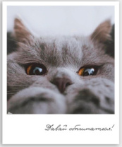 Фото-карточка "Давай обниматься" Фото-карточка "Давай обниматься"