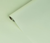 Упак. материал флористическая пленка "Самая нужная", 55 мкр, 58 см х 10 м, пастельно-мятный Упак. материал флористическая пленка "Самая нужная", 55 мкр, 58 см х 10 м, пастельно-мятный