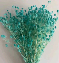 Сухоцвет Эрингиум, 100 гр/упак.,тиффани