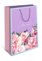 Пакет подарочный 0193.376