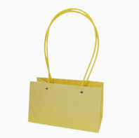 Пакет матовый "Мастхэв" прямоугольный 22*10*13см желтый