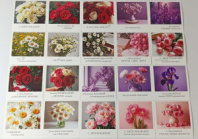 Набор карточек С днем Рождения 7,5*7,5 (20шт) Набор карточек С днем Рождения 7,5*7,5 (20шт)