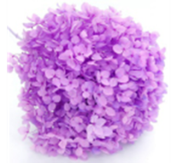 Сухоцвет Гортензия (1 шт. в букете) сиренево-розовая