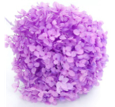 Сухоцвет Гортензия (1 шт. в букете) сиренево-розовая