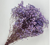 Сухоцвет "Гипсофила", длина 70-80 см, 120 гр/упак., лавандовый.