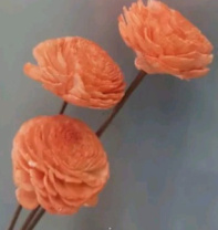 "Деревянный цветок мини Сола" ручной работы длина 40-50 см 3 шт размер цветка 4 см  св.персик