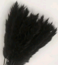 Сухоцвет Камыш 15шт/упак 60-80 см черный