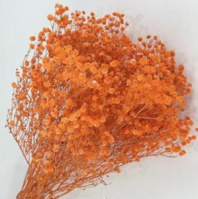 Сухоцвет "Гипсофила", длина 70-80 см, 120 гр/упак., оранжевый.