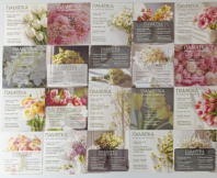 Набор карточек Памятки 7,5*7,5 (20шт) Набор карточек Памятки 7,5*7,5 (20шт)