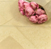 Бумага в листах "Тишью" 50*66 (10шт) с блестками темно-бежевый Бумага в листах "Тишью" 50*66 (10шт) с блестками темно-бежевый