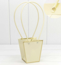 Пакет подарочный "Ваза для цветов" 12,5*12,8 с золотой рамкой бежевый 