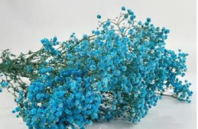 Сухоцвет "Гипсофила", длина 70-80 см, 120 гр/упак., небесно-голубой.