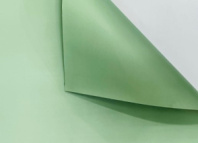 Пленка флористическая "Монако" 65мкр 57см*57см 20 листов фисташковый