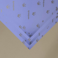 Пленка матовая двухсторонняя "Королева" св.-васильковый/св.-бежевая 10 листов 58*58 50мкр