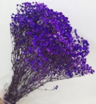 Сухоцвет Гипсофила 70-80 см 120 гр фиолетовый