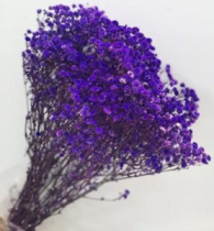 Сухоцвет Гипсофила 70-80 см 120 гр фиолетовый