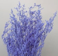 Сухоцвет Лимониум  (3-5 веточки) 100гр сиреневый