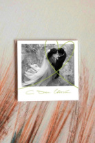 карточка "С Днем Свадьбы (свадебный снимок)" К509 карточка "С Днем Свадьбы (свадебный снимок)" К509