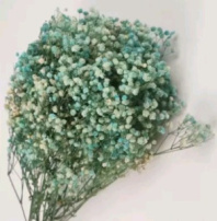 Сухоцвет Гипсофила 70-80 см 120 гр тиффани