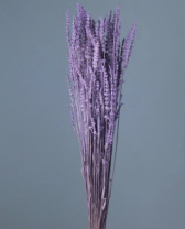 Сухоцвет Лаванда (70гр) лавандовый