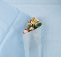 Бумага тишью 50*70см Голубой 211 40 листов т.м 100 Бумага тишью 50*70см Голубой 211 40 листов т.м 100