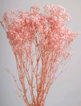 Сухоцвет Гипсофила 70-80 см 120 гр св.розовый