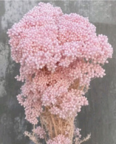 Сухоцвет Рисовый цветок (Диосми), длина 60-70 см, 3-5 веток/упак., 80 гр.,выбеленн. св.розовый