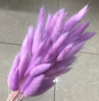 Сухоцвет Лагурус (60шт/пач) лавандовый