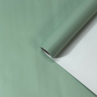 Пленка матовая двухсторонняя белый \ мятный 58см*10м±5% 65мкр