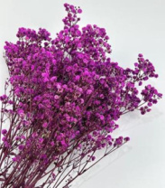 Сухоцвет "Гипсофила", длина 70-80 см, 120 гр/упак., сиреневый