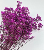 Сухоцвет "Гипсофила", длина 70-80 см, 120 гр/упак., сиреневый