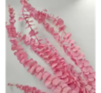 Сухоцвет Эвкалипт Бэби Блу Экстра (80гр) розовый