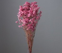 Сухоцвет Каспия 120гр/упак розовый