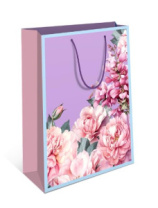 Пакет подарочный 0192.375 Пакет подарочный 0192.375