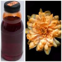 Краска флористическая №15 Апельсиновый 0,3мл