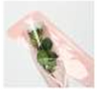 Пакет под одну розу 12*3*56см, 50шт/уп, розовый