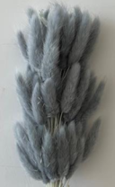 Сухоцвет Лагурус (60шт/пач) серый