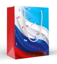 Пакет подарочный (M) «Триколор» Пакет подарочный (M) «Триколор»