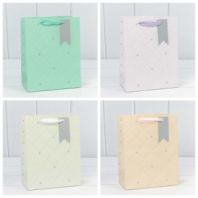 Пакет подарочный "Эксклюзив" (микс) 18*23*10 230г 1/20 1/360 Пакет подарочный "Эксклюзив" (микс) 18*23*10 230г 1/20 1/360