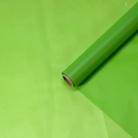 Матовая пленка на втулке однотонная 50 мкр 60 см*10 ярд ± 5% Салатовый Металл Матовая пленка на втулке однотонная 50 мкр 60 см*10 ярд ± 5% Салатовый Металл
