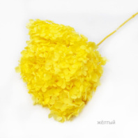 Сухоцвет Гортензия (1 шт. в букете) желтый