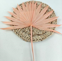 Сухоцвет "Листья солнечной пальмы",25-30 см. светло-персиковый