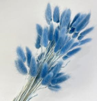 Сухоцвет Лагурус (60шт/пач) небесно-голубой