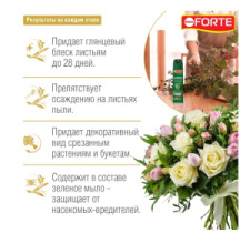 Блеск для листьев Bona Forte 300 мл  