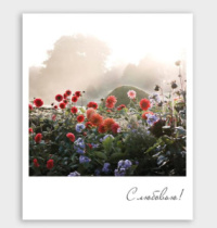 Фото-карточка "С любовью!" 02091