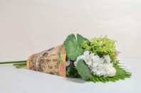 Трапеция Переноска "Венеция" желтая